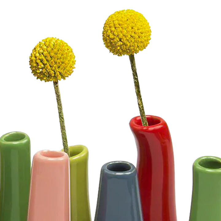 Pooley Colorful Bud Vase For Flower Arranging Rectangular