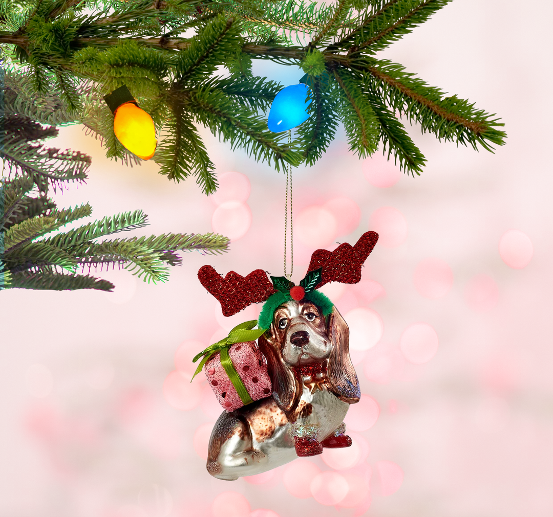 Dog w/Costume Ornament Glass, 4.75in