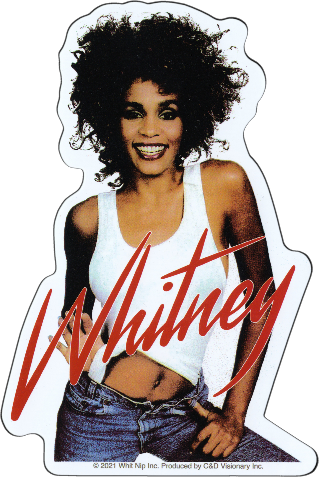 Sticker - Whitney Houston -Standing - 1990s Pop Soul Music