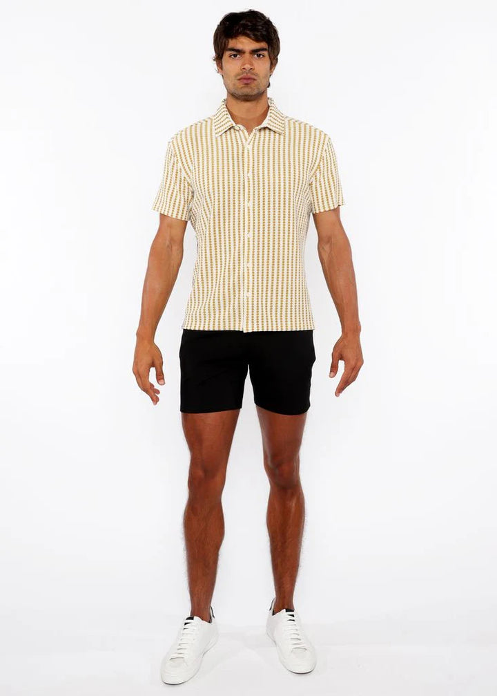 Amber/Ecru Stripe Stretch Open Knit Short Sleeve Shirt St-24062