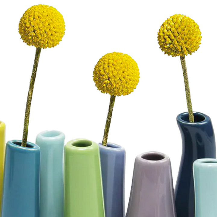 Pooley Colorful Bud Vase For Flower Arranging Rectangular