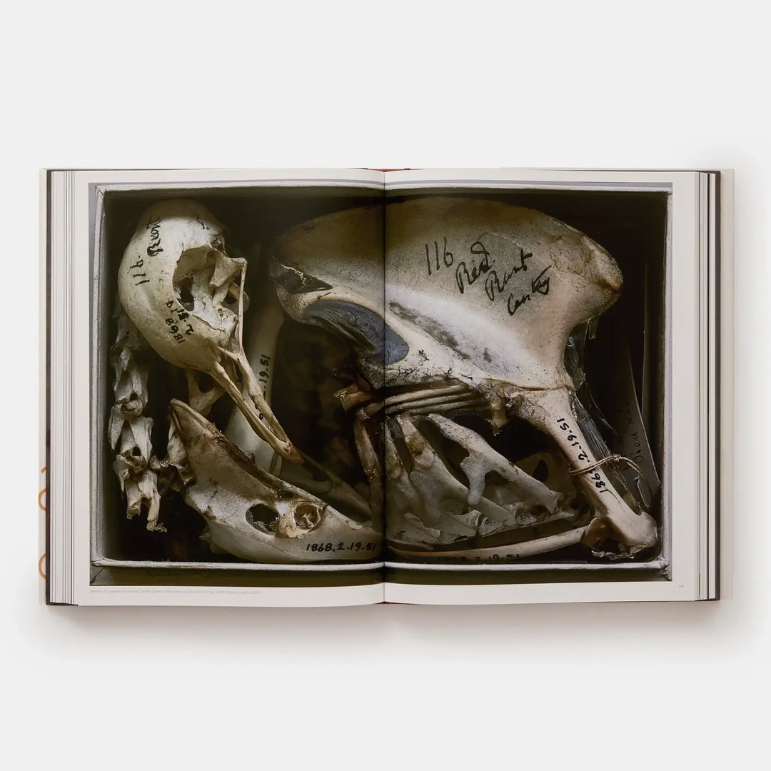 Annie Leibovitz: Portraits 2005-2016