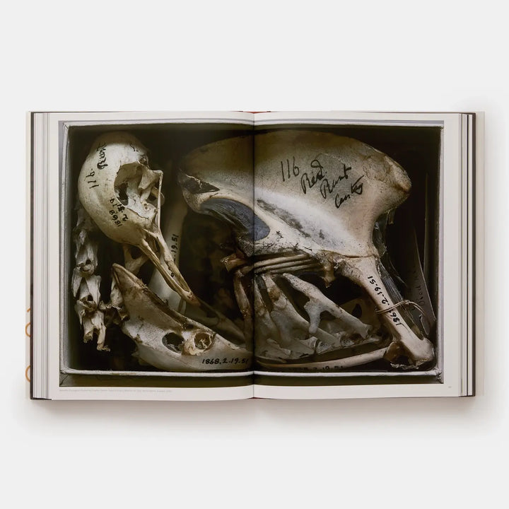 Annie Leibovitz: Portraits 2005-2016