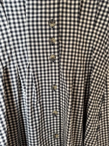 Arden Mini Shirt Dress Black/White Gingham
