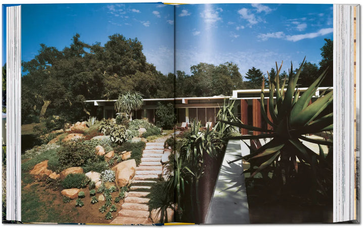 Neutra 45th Edition
