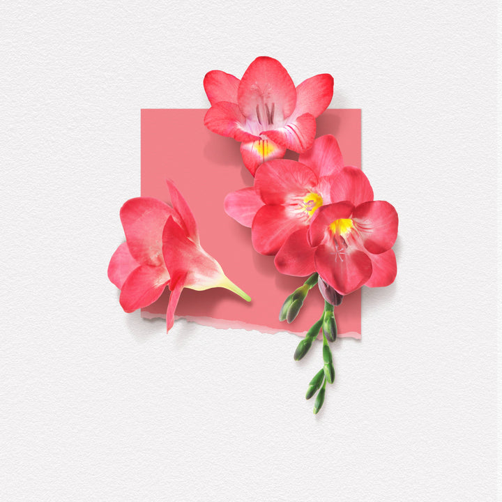 Freesia Perfume 1.7 oz - CLEAN BEAUTY