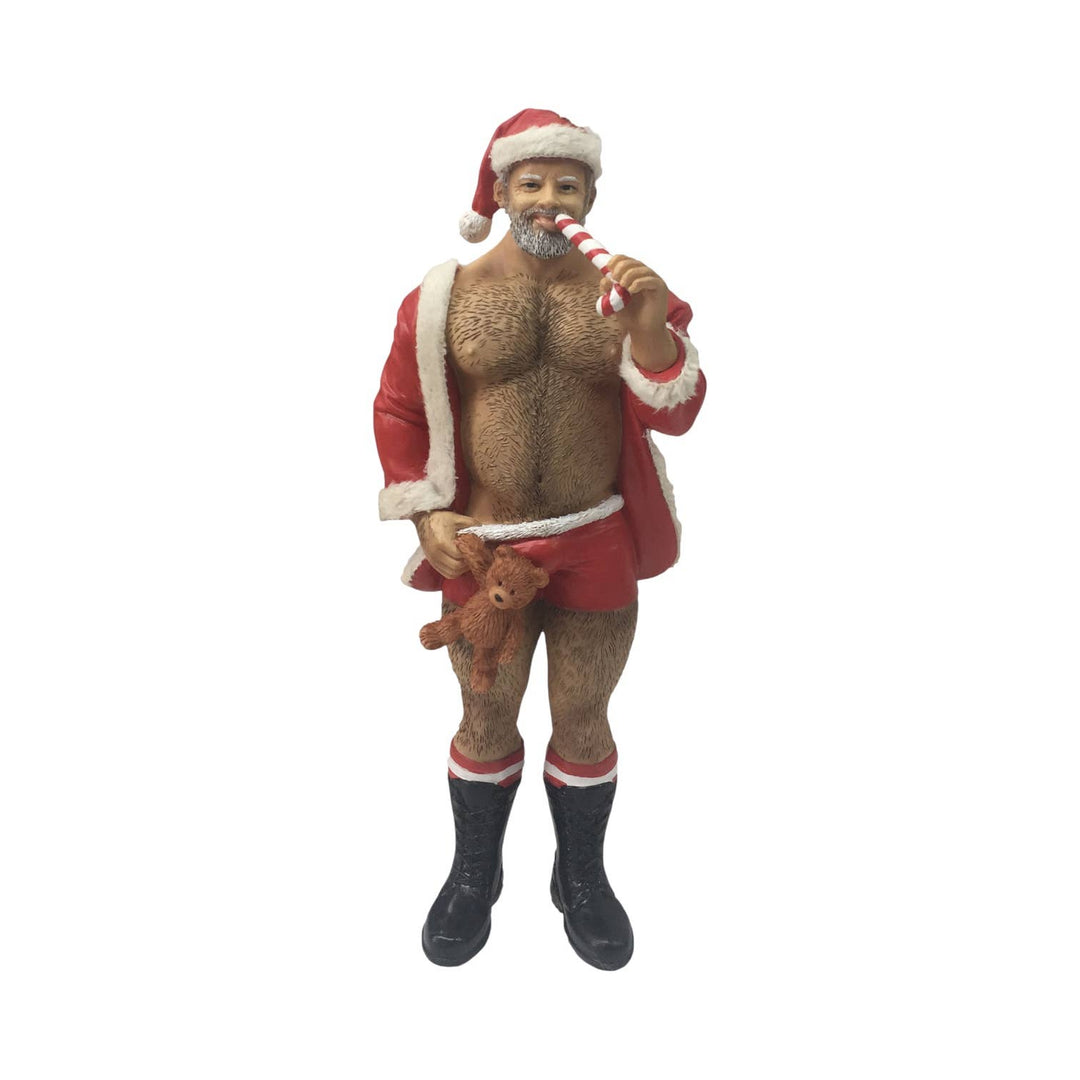 Santa Bear