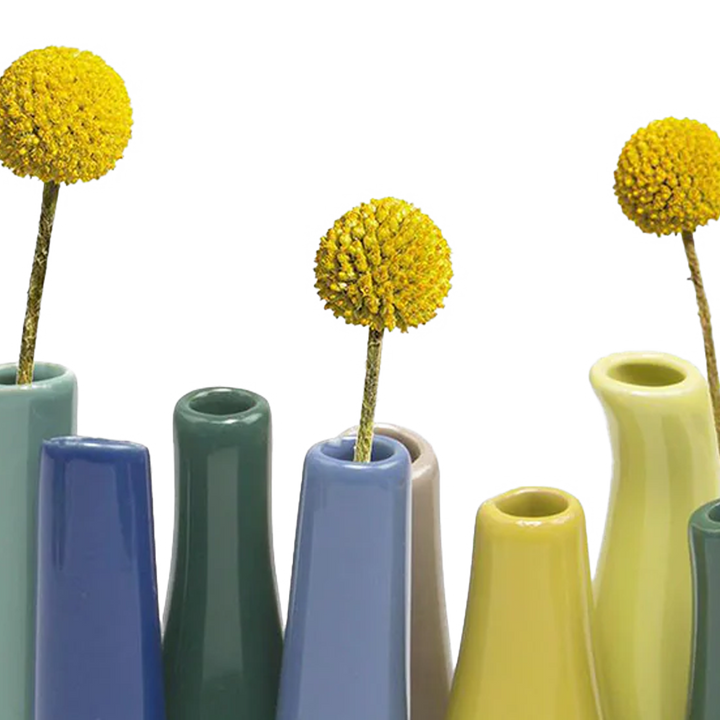 Pooley Colorful Bud Vase For Flower Arranging Rectangular