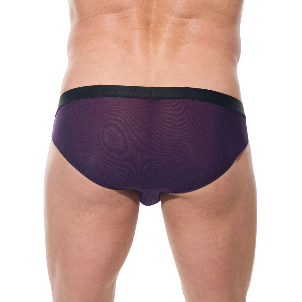 Torridz Brief