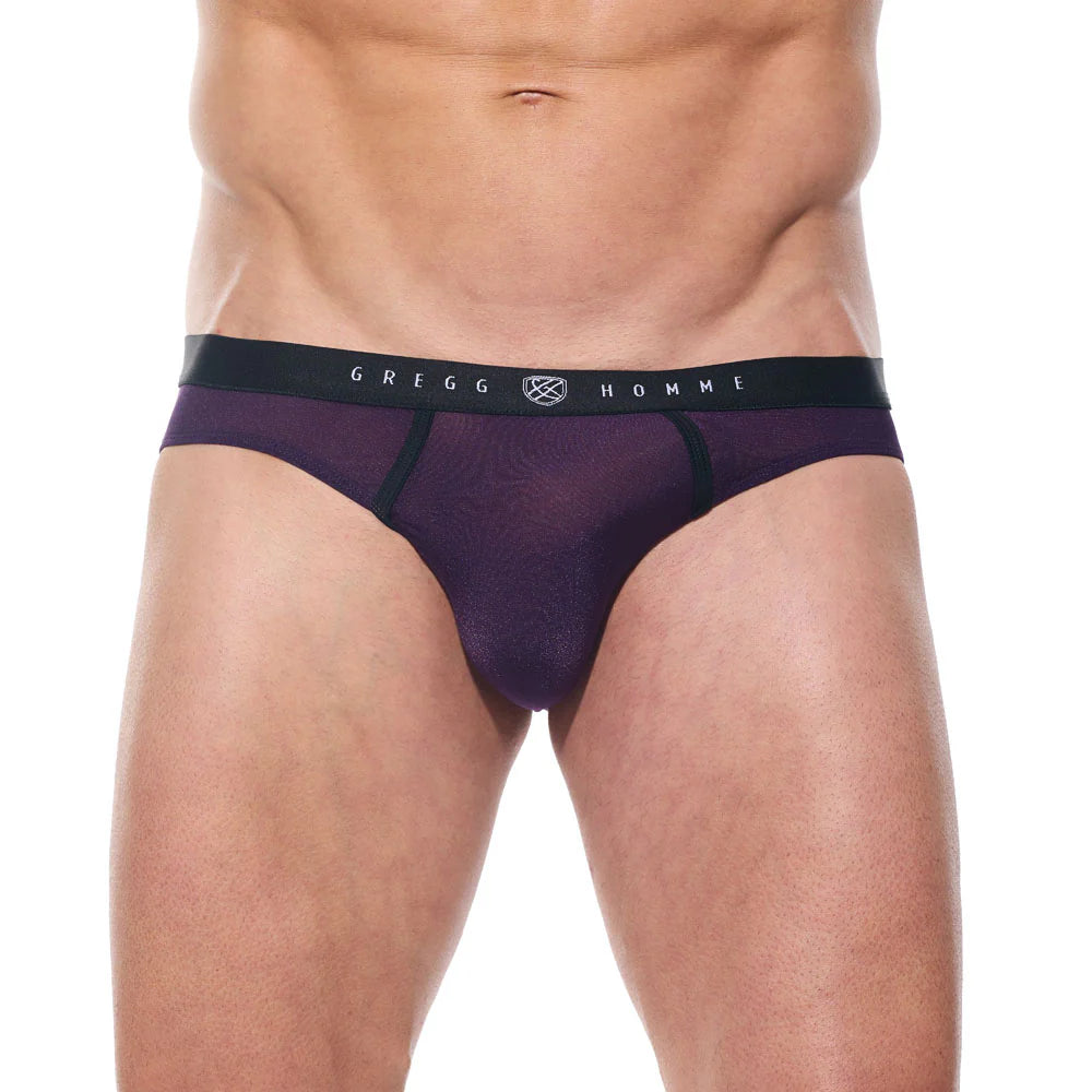 Torridz Brief