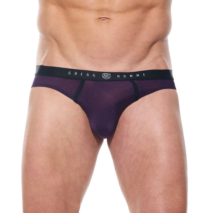 Torridz Brief