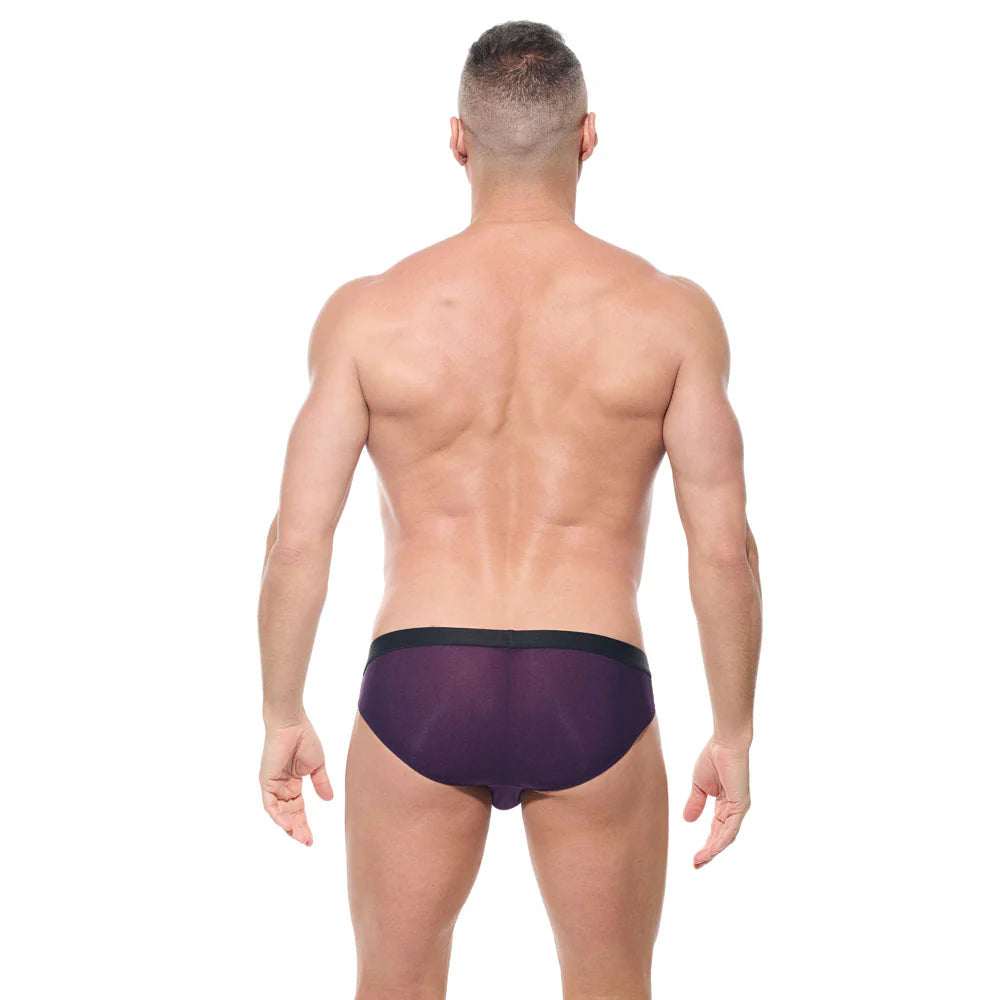 Torridz Brief