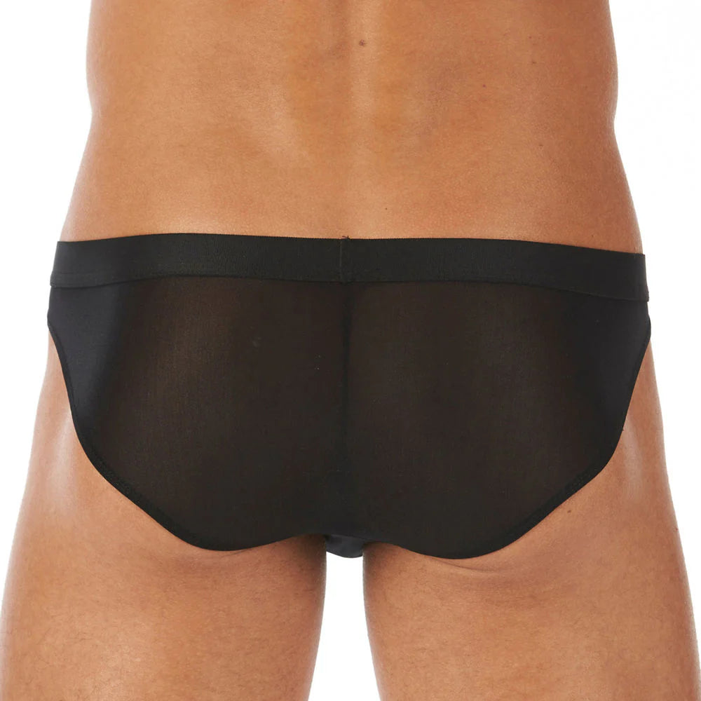 Torridz Brief