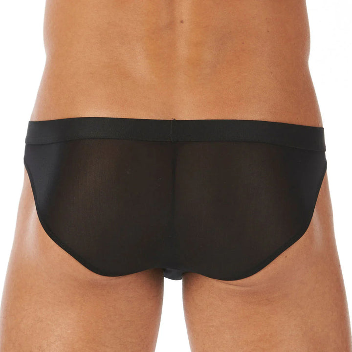 Torridz Brief