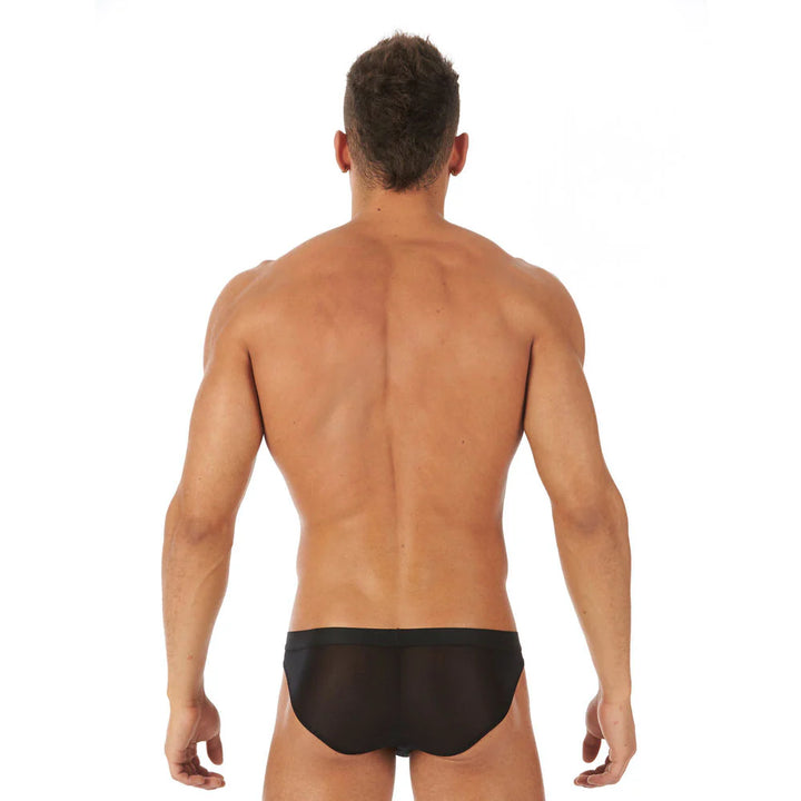 Torridz Brief