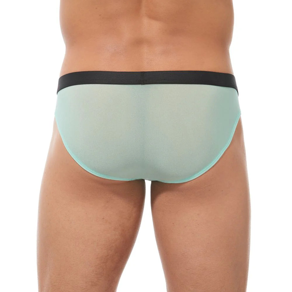 Torridz Brief