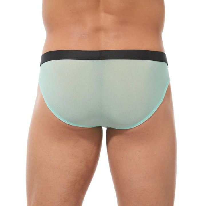 Torridz Brief