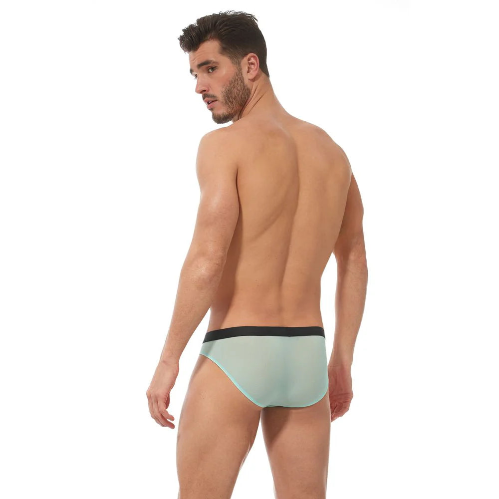 Torridz Brief