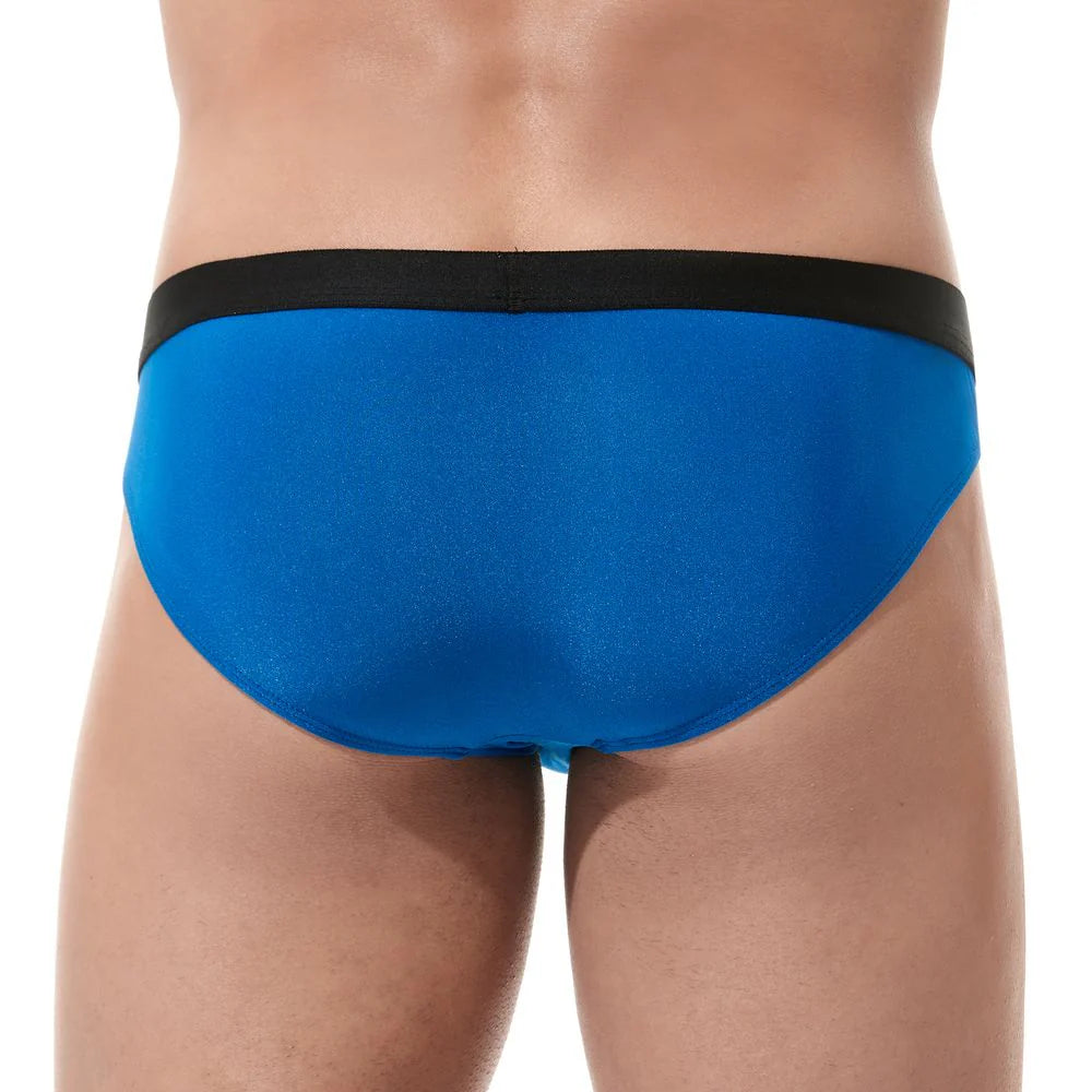 Torridz Brief