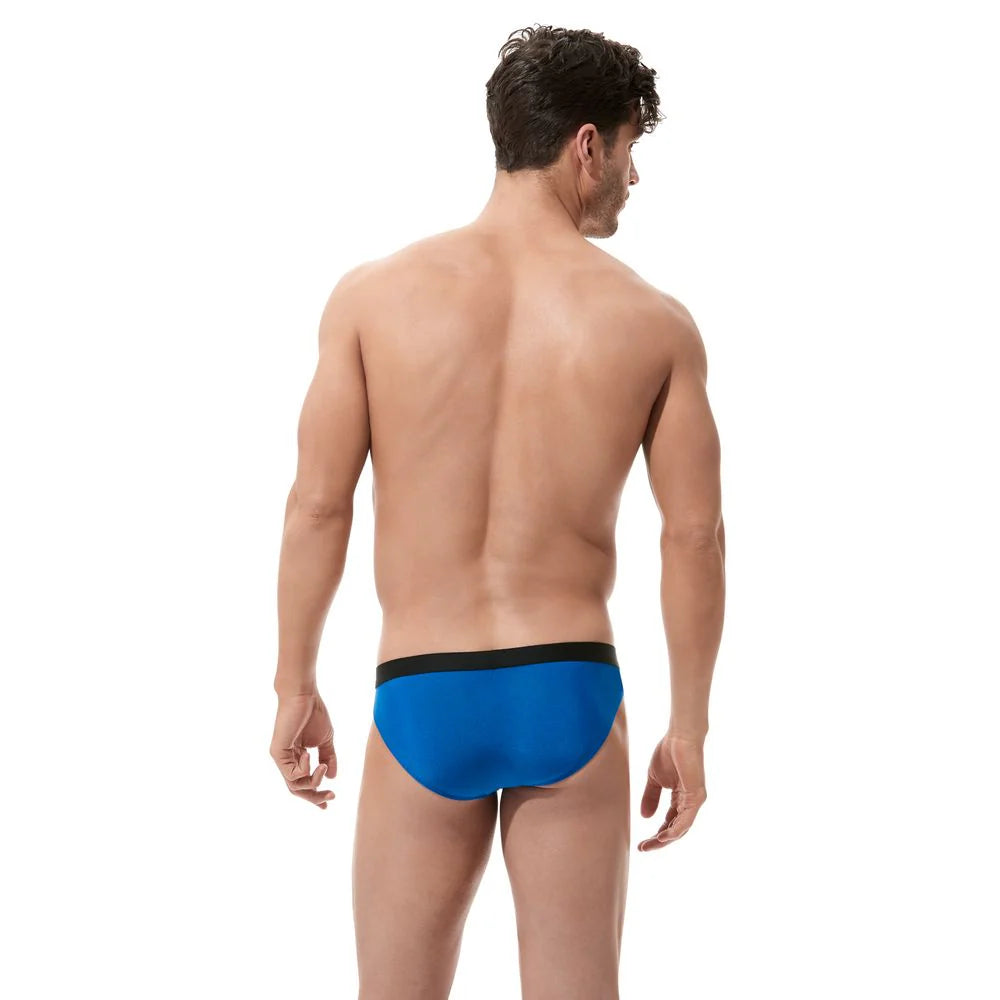 Torridz Brief