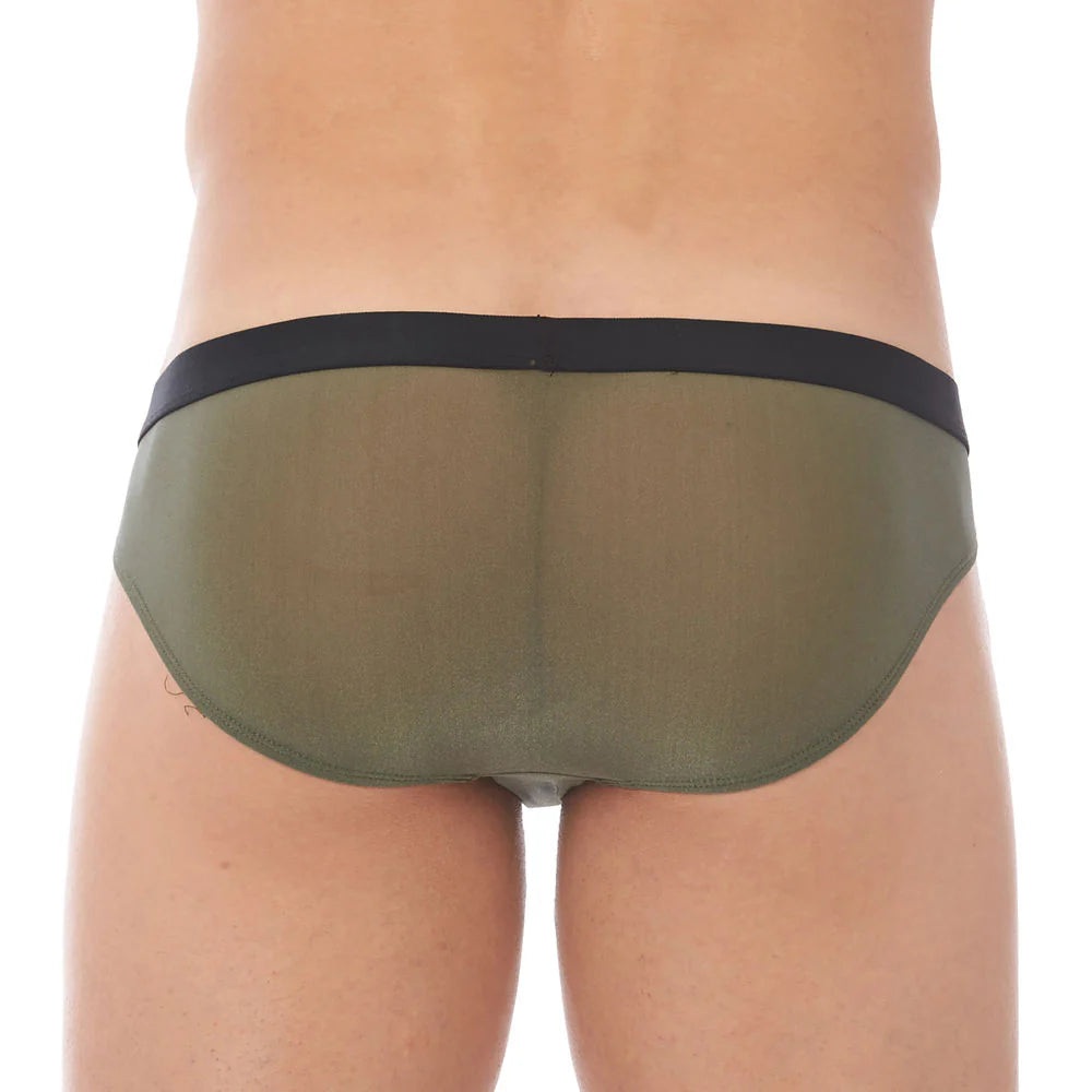 Torridz Brief