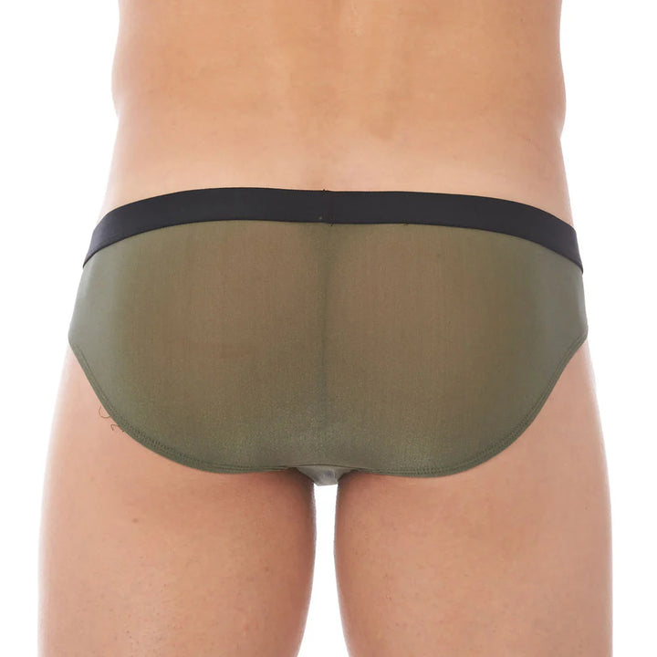 Torridz Brief