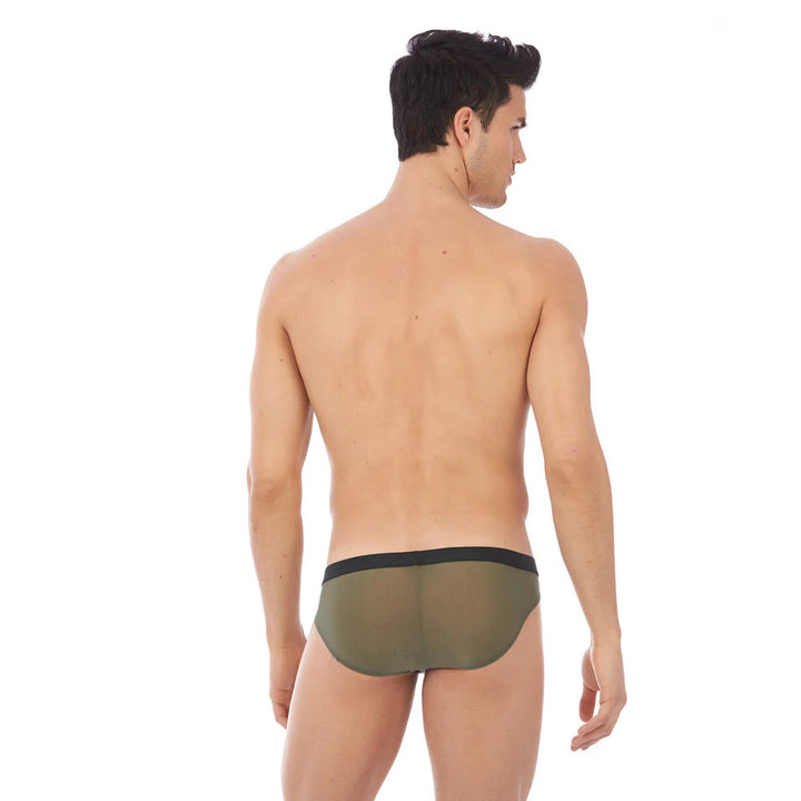 Torridz Brief