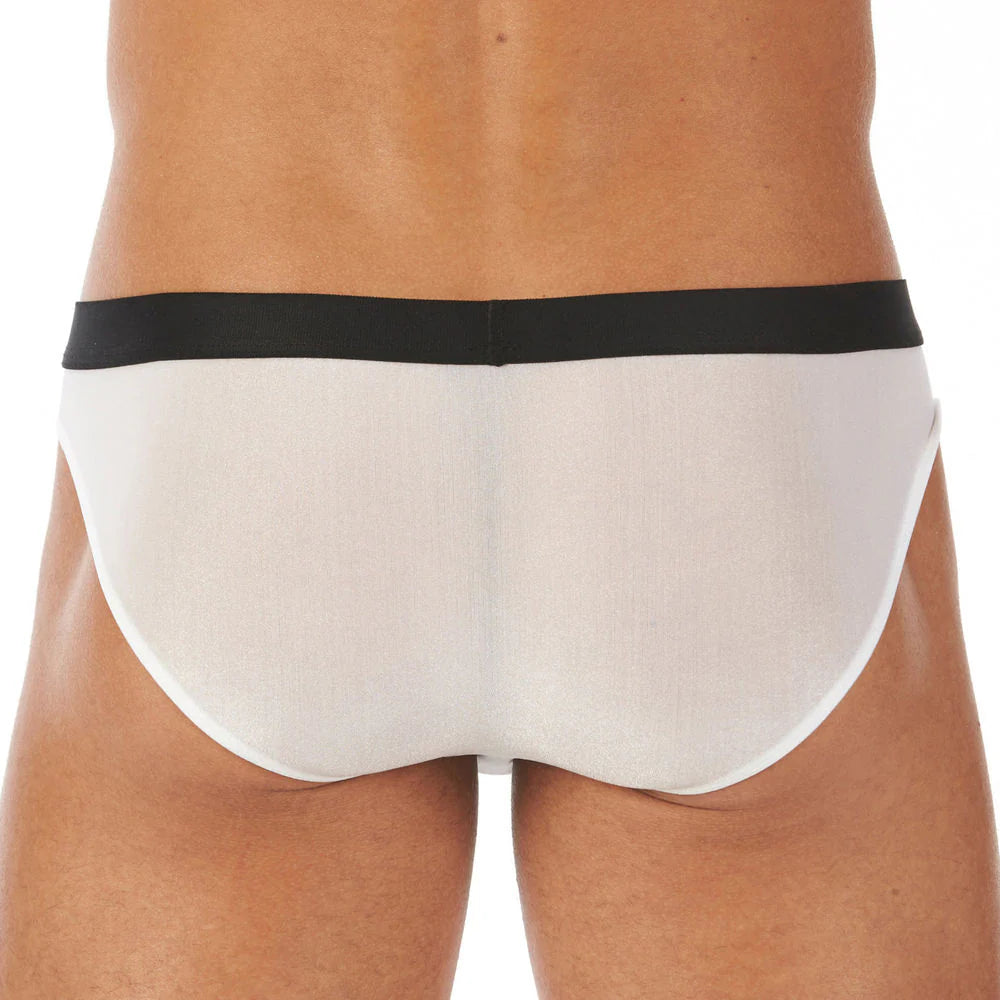 Torridz Brief