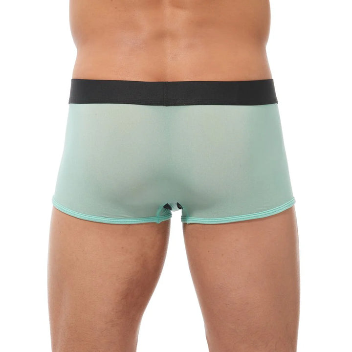 Torridz Trunk