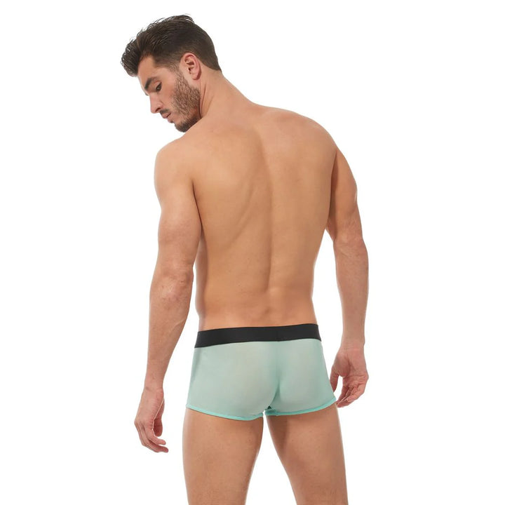 Torridz Trunk