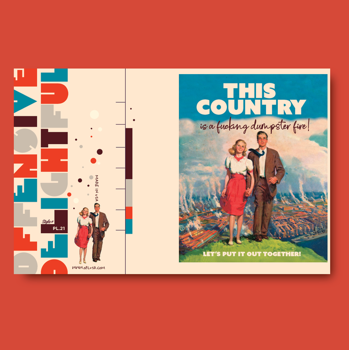 THIS COUNTRY  couple, love, political greeting card