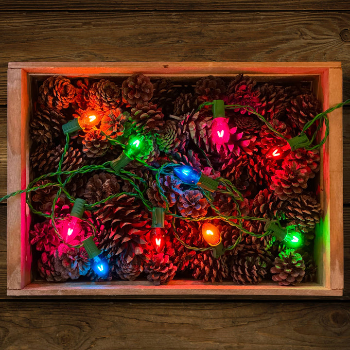 Vintage Style LED Christmas Lights - C7 10-Light Set