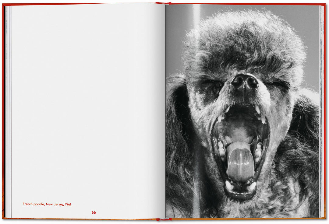 Walter Chandoha. Dogs. Photographs 1941–1991