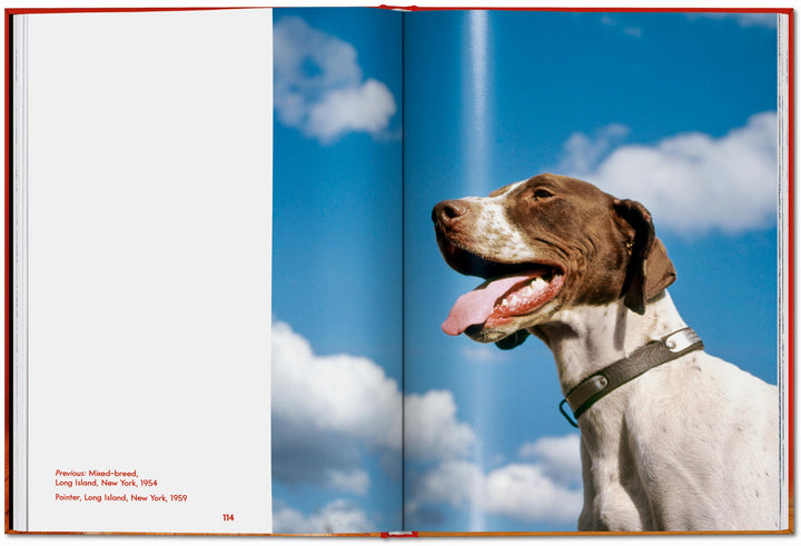 Walter Chandoha. Dogs. Photographs 1941–1991