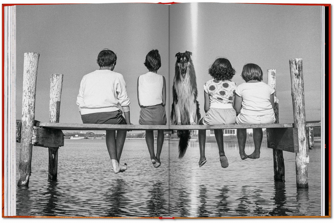 Walter Chandoha. Dogs. Photographs 1941–1991