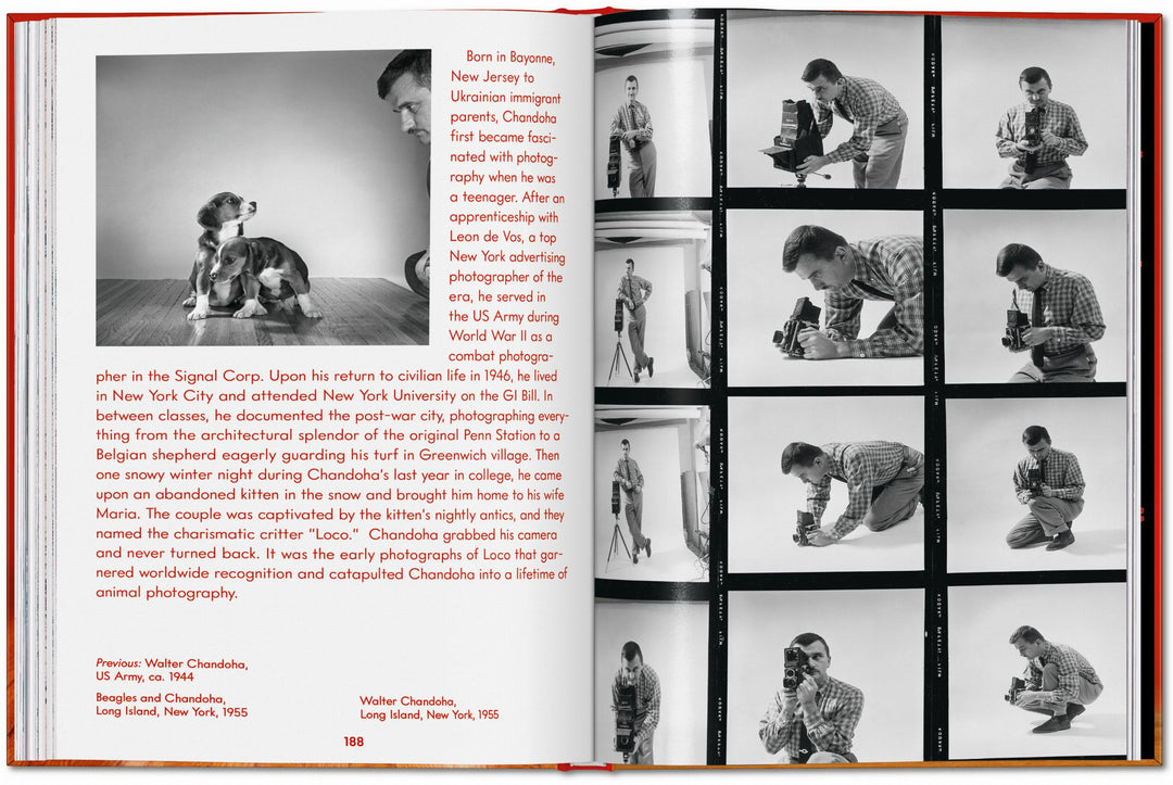 Walter Chandoha. Dogs. Photographs 1941–1991