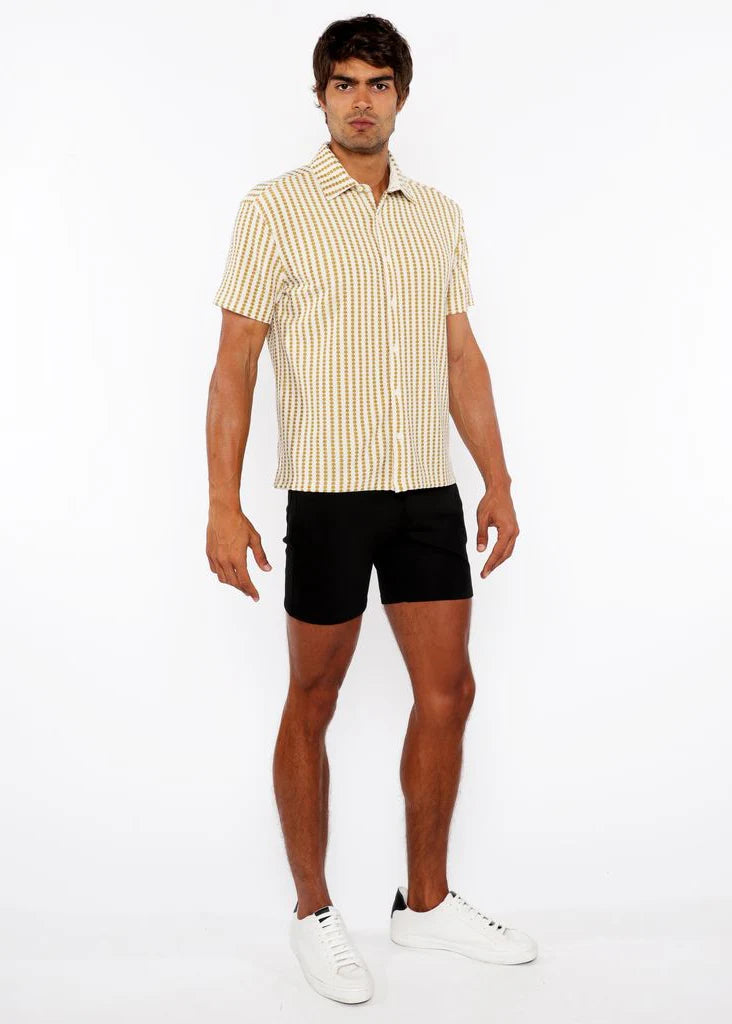 Amber/Ecru Stripe Stretch Open Knit Short Sleeve Shirt St-24062