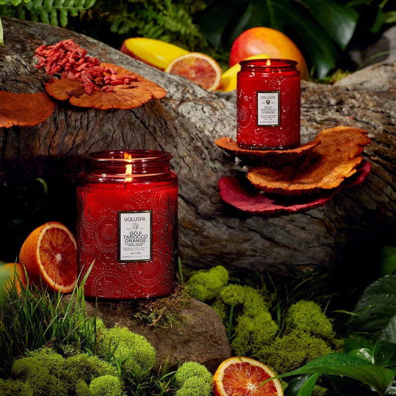 Goji Tarocco Orange 5.5oz Small Jar Candle