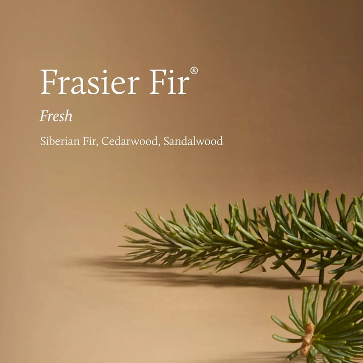 Frasier Fir Tidings Boxed Votive 2oz