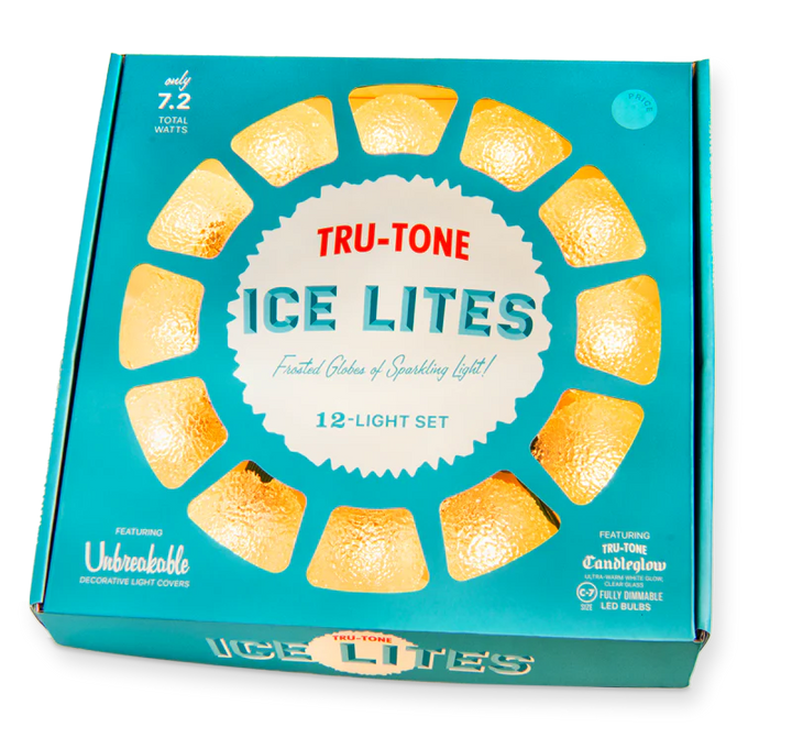 Ice Lites Vintage Style 12 LED Stringed Light Set Frosted Clear