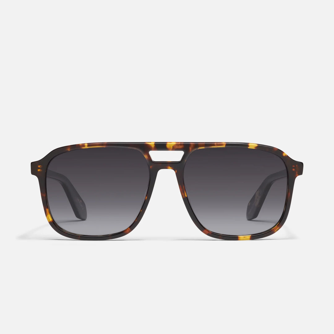 On The Fly Tortoise / Smoke Polarized
