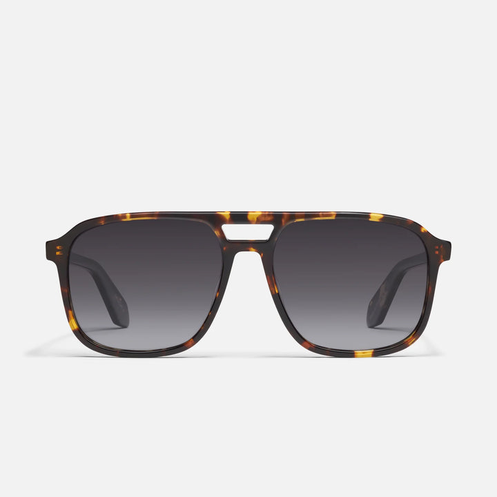 On The Fly Tortoise / Smoke Polarized