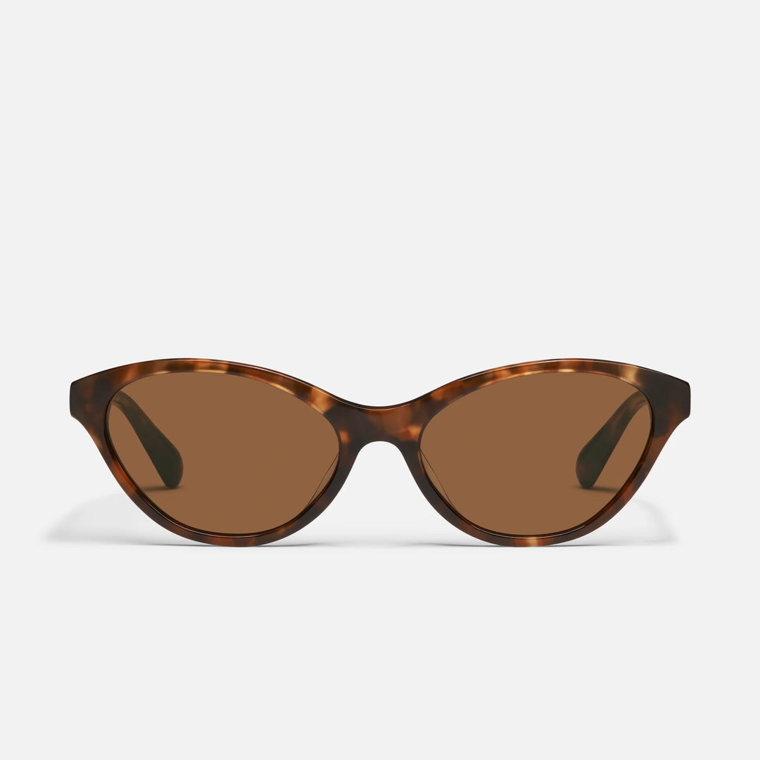 Talk Nice Amber Tort/Brown