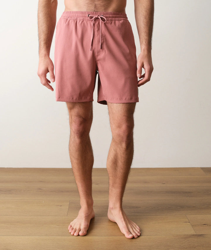 Lined Sport & Swim Short 6" Withered Rose Stripe