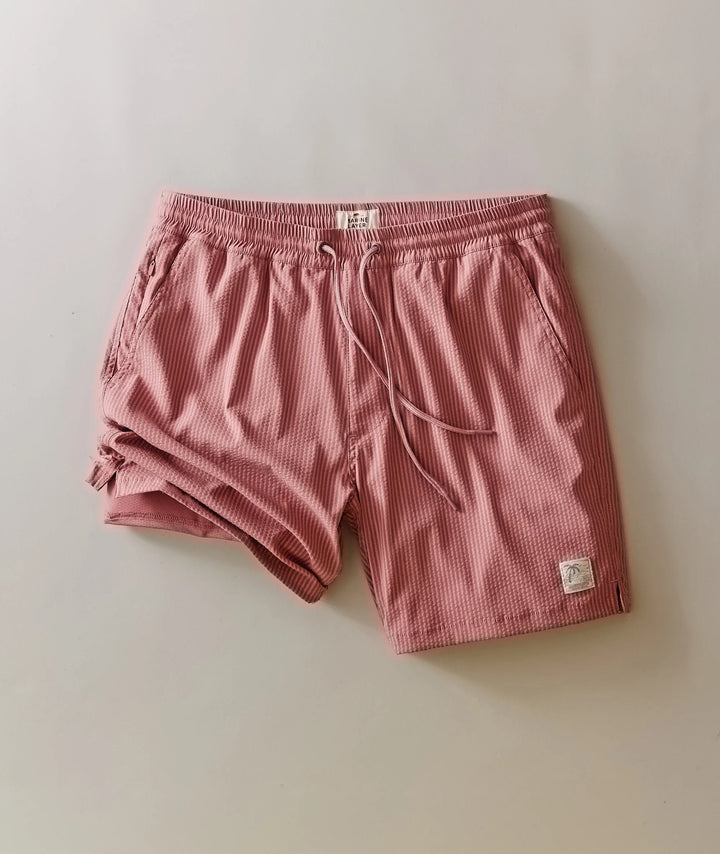 Lined Sport & Swim Short 6" Withered Rose Stripe