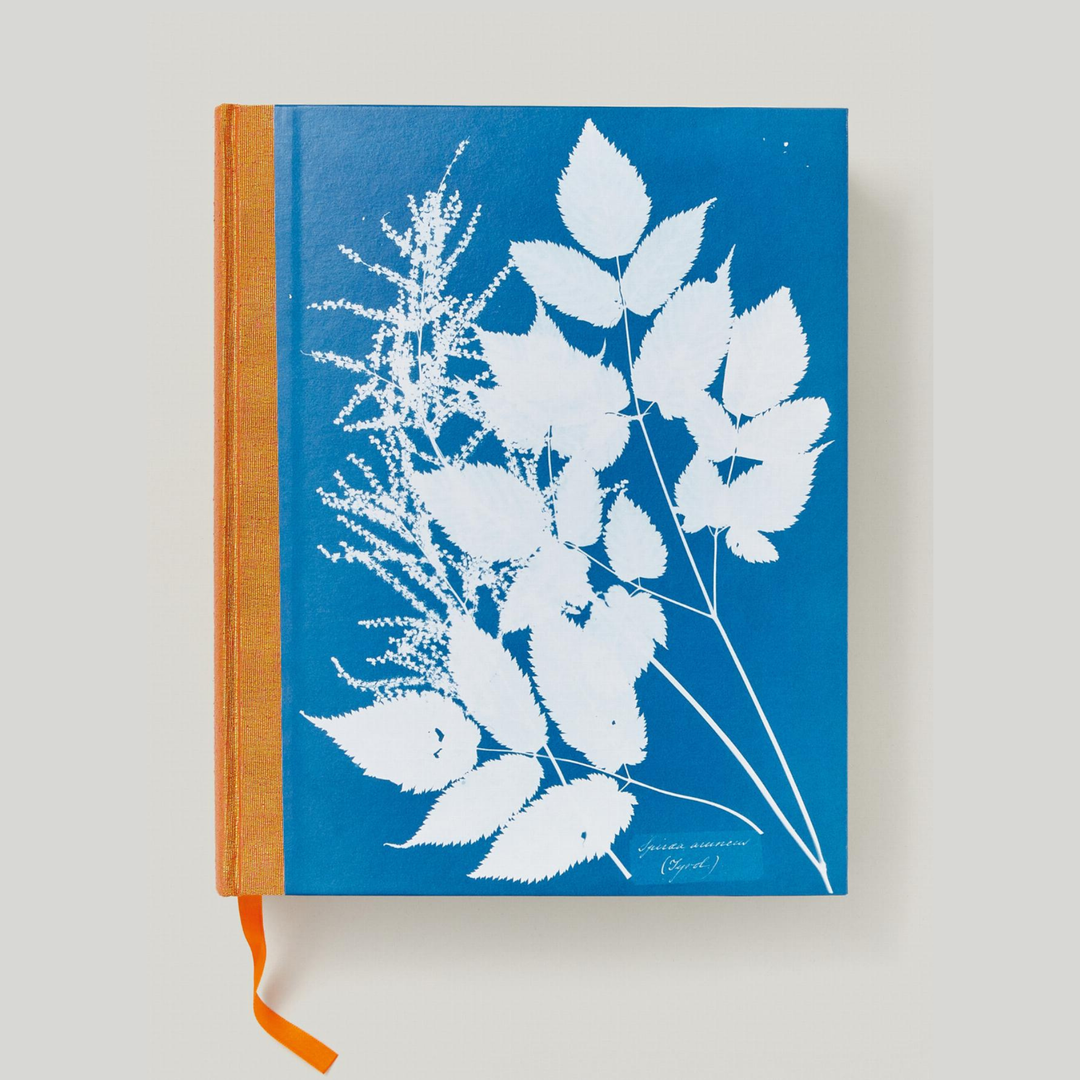 Anna Atkins. Cyanotypes