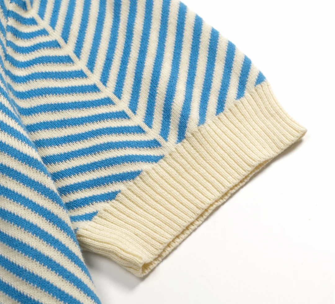 Blue Vintage Art Jacquard Polo Knit