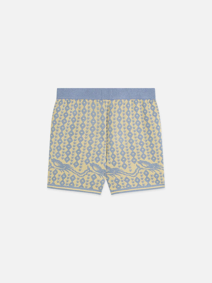 Jacquard Knitted Shorts Cactus Stripe Placed Raffia USJ01363N