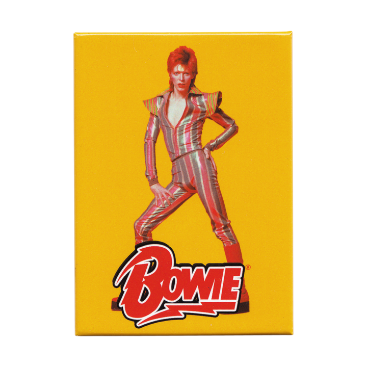 David Bowie Striped Jumpsuit - Magnet