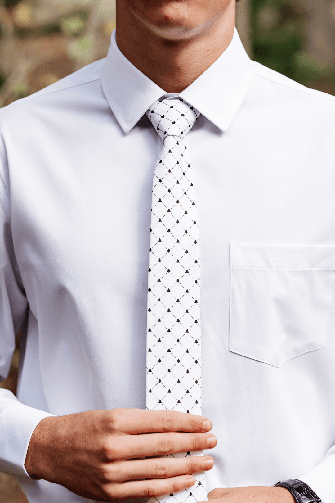 Noble Conversational Tie